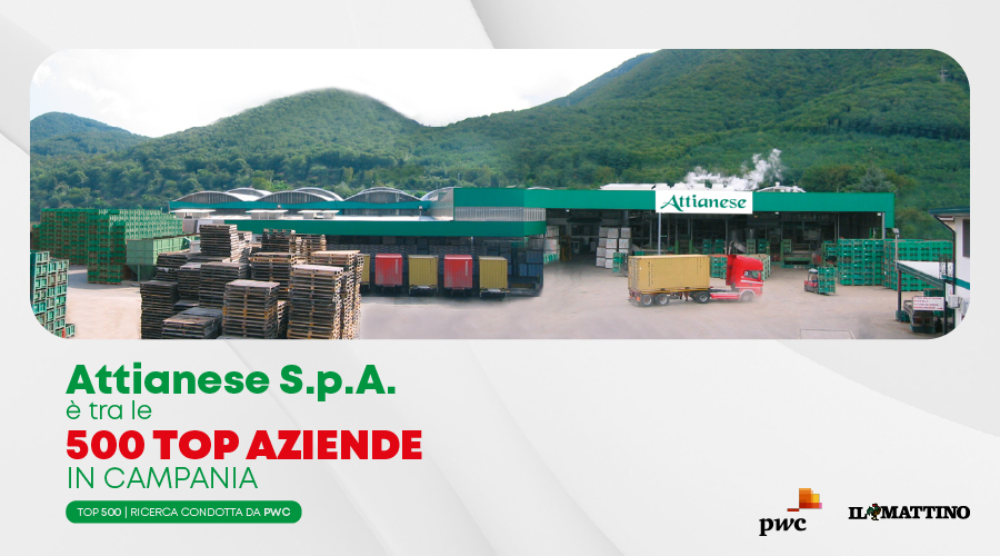 Attianese S.p.A. nella top 500 aziende in Campania: un risultato che premia visione e strategia